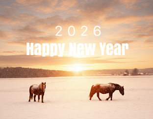 謹賀新年｜SALDI SOLDES（初売りセール）スタート