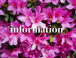 4月20日・21日出荷業務停止のお知らせ