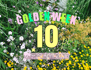 MONILE skirt特集｜ポイント10倍キャンペーン開催