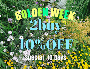 GW第2弾！2点で10%OFFクーポンプレゼント！母の日の贈り物にもおすすめです🎁